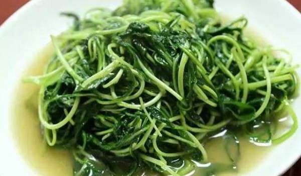 新鲜马兰头怎么吃
