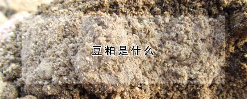 兔瘟的防治的方法与技术