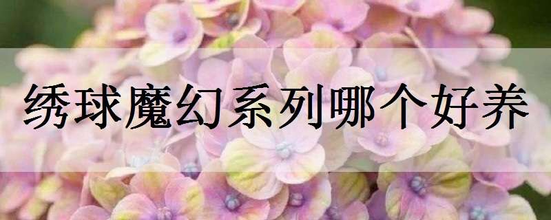 高祝军(高中生“长成”马铃薯育种人)