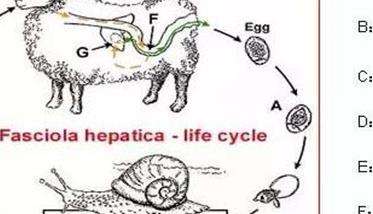 土元：4季管理各不同