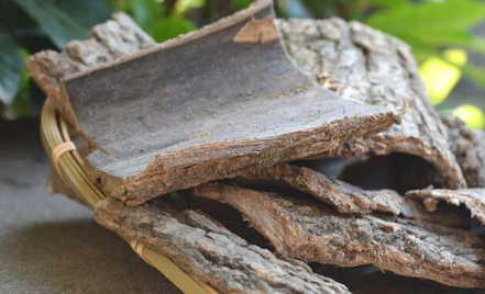 四川乐至县（温室集中育苗开创致富路）