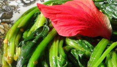 菠菜的功效与作用有哪些（食用菠菜的好处）