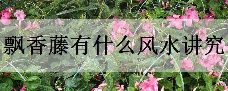 鄂州市（杨东华养殖南美白对虾致富）