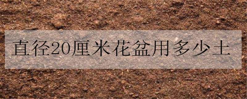 苜蓿的种植技术要点