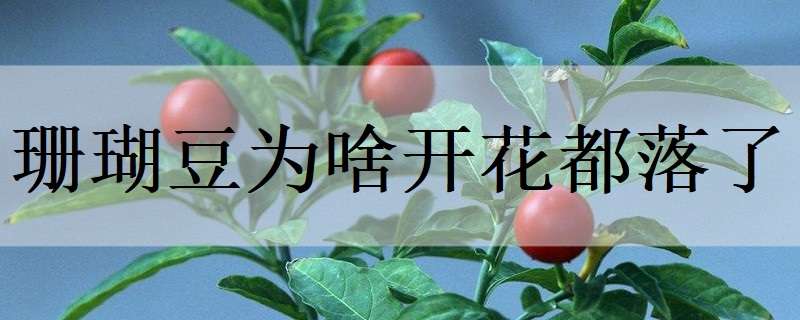 新疆兵团第八师一四七团做强做大种鸽产业带动职工多元增收