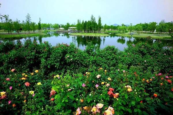 刘乃玉（用上新型大棚增收十多万元）