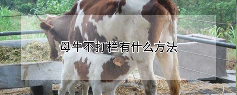 蚕豆良种如何留