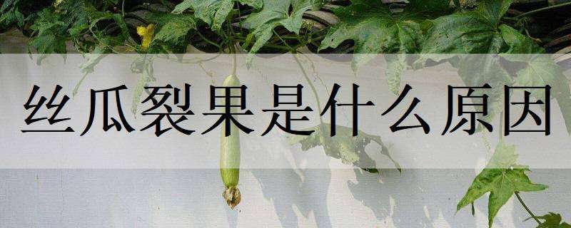安徽颍上县(700亩中草药为他年吸金超过400万元) 安徽颍上县(700亩中草药为他年吸金超过400万元)