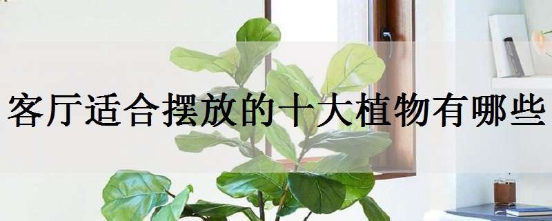 天津津门好人榜（好心肠的大洼“泥鳅王”高建忠）