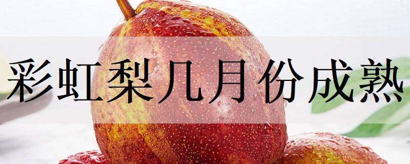 致富能手李光玉夫妇（牛哥牛嫂的牛气生活）