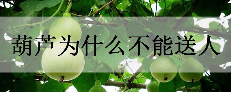 大连庄河市（乡亲们发家致富的带头人）