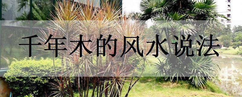 订单农业帮助农民成功致富