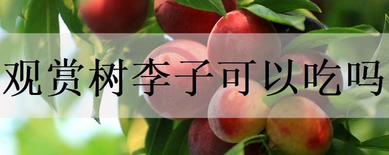 安徽庐江汤池（百花村里泥鳅肥）