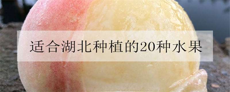 内蒙古敖汉旗发展特色种植助农增收 内蒙古敖汉旗发展特色种植助农增收