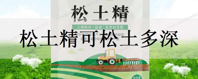 从普通农民到“富硒大王”——河北广平农民张东明的创业路