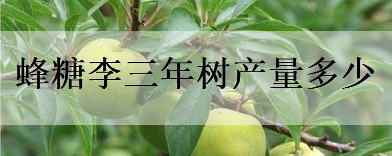 姚海善（梦想在荷塘里飞扬）