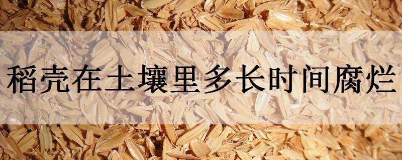 辽宁（后起之秀“大连花”争艳于花卉强市之列）