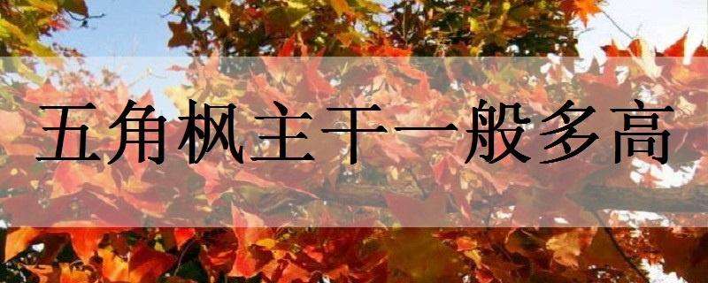 铜梁返乡农民夫妻饲养野猪带动留守村民致富 铜梁返乡农民夫妻饲养野猪带动留守村民致富
