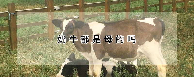 蛇类饲料的投喂原则及注意事项