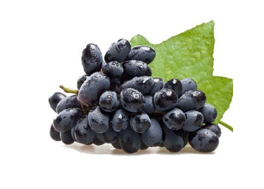 新手如何种植黑加仑（黑加仑养殖方法总结）