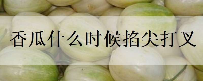 四川万源市（旧院黑鸡的财富《致富经》）