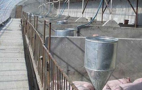 请问现代化生态养猪大棚建设
