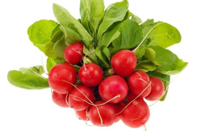 四川巴中（建好家庭农场促进农民增收）