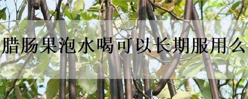 广西兴安“圣女果”变身“小金果”