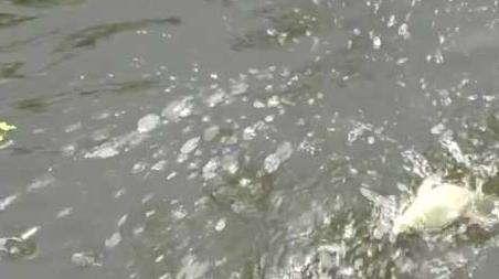 初秋下雨天气钓鱼好钓吗？