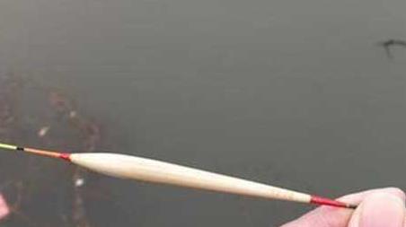 台钓线组搭配有哪些技巧