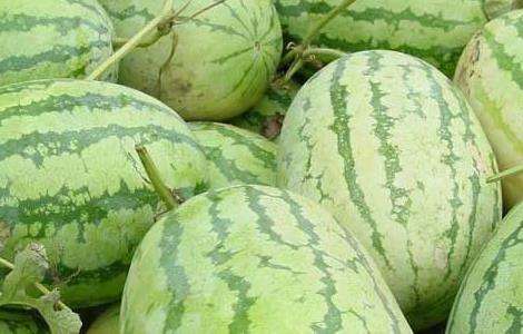 西瓜是热性还是凉性?