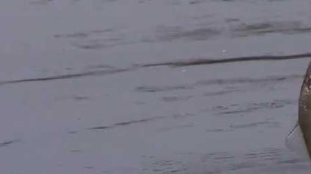 冬季钓鱼下雨天能钓鱼吗？