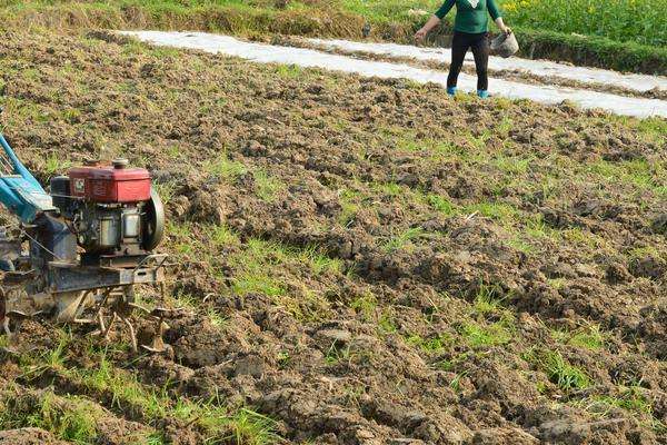 西瓜施肥时间及多久？