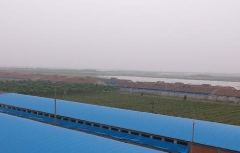 鸭舍建造要注意什么？