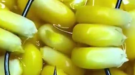 玉米挂钩方法及作钓技巧