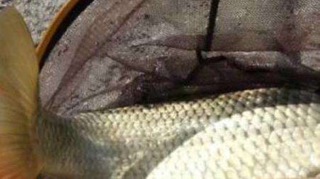 秋冬野钓技巧及注意事项