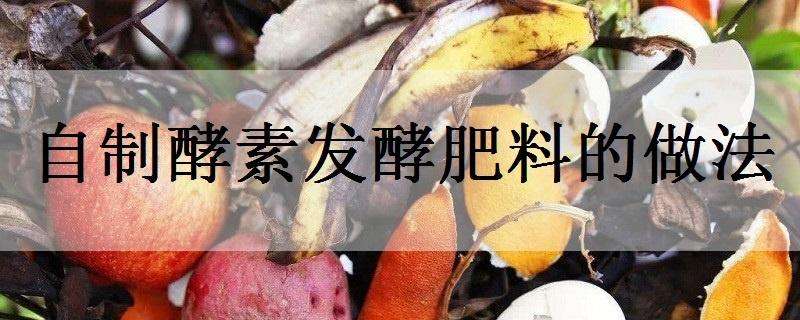 自制酵素发酵肥料的做法