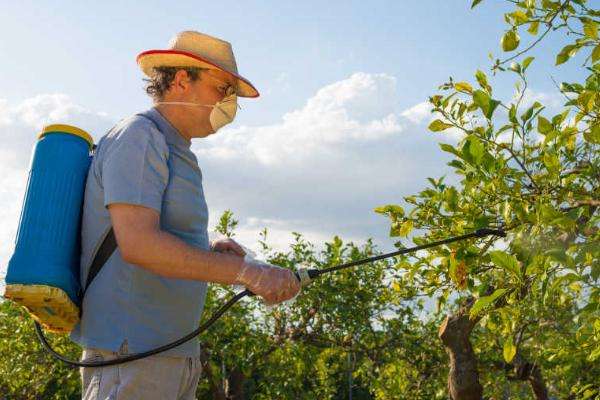 赤霉素用法与用量（含多种农作物） 超详细建议收藏