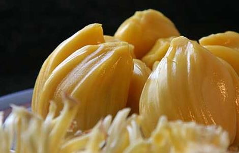 菠萝蜜不能和什么同吃?