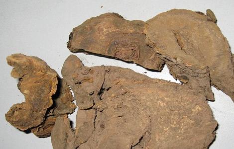 大黄的功效与作用