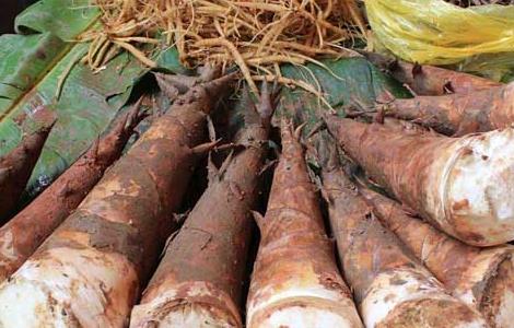 吃竹笋会不会过敏？