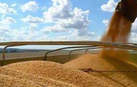 大豆储藏注意事项