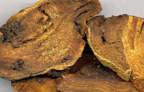 大黄的功效与作用