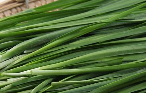 韭菜和什么不能一起吃