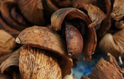 孕妇能吃槟榔吗？