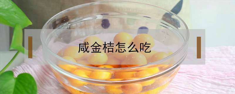 咸金桔怎么吃