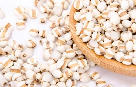 薏米的种植方法与时间