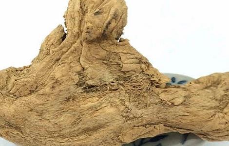 中药炮姜的功效与作用