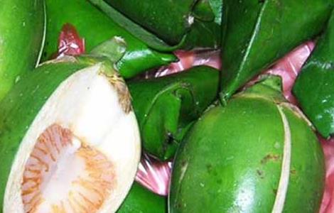 孕妇能吃槟榔吗？