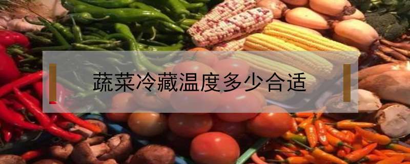 蔬菜冷藏温度多少合适